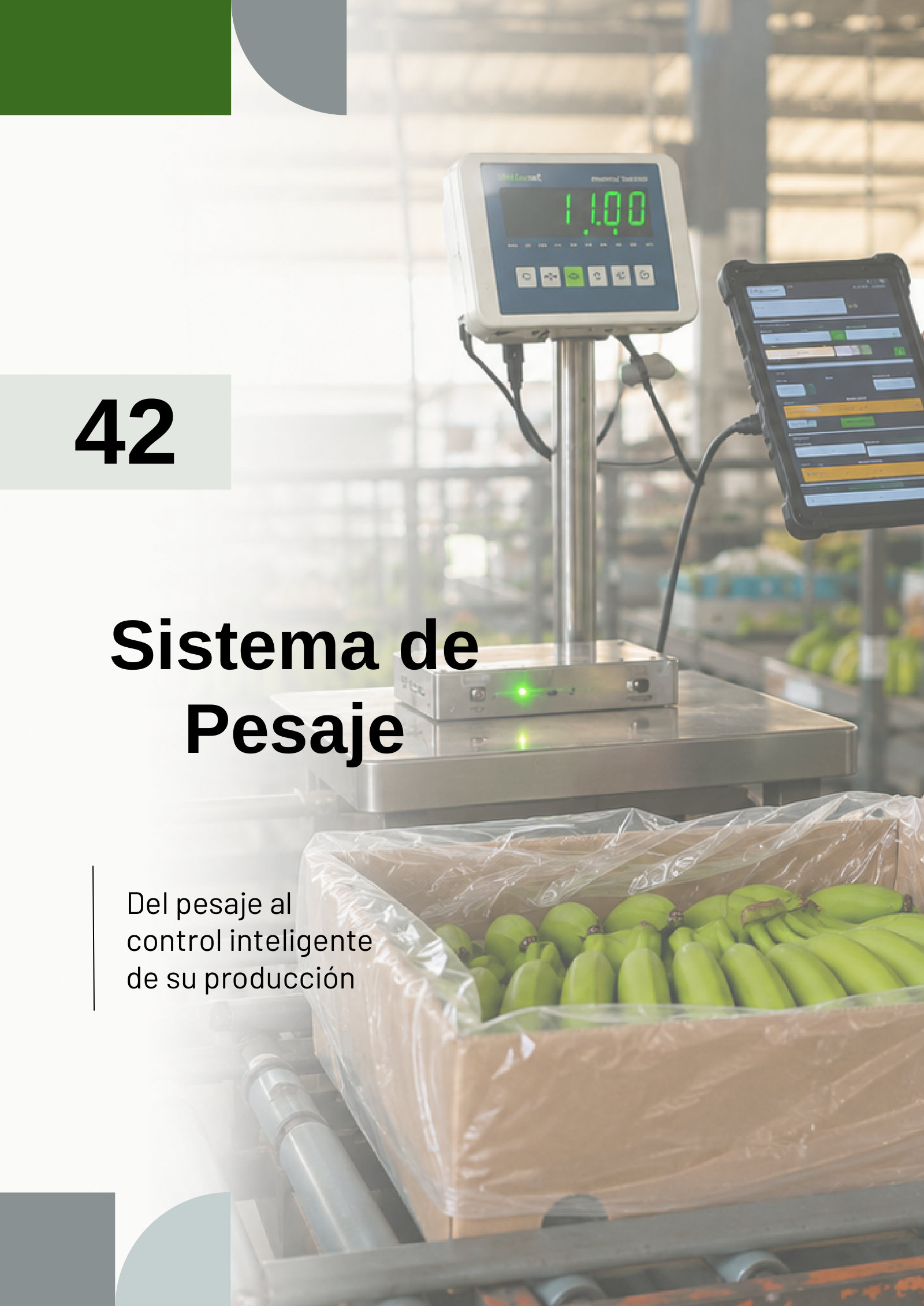 Catálogo NPC Balanzas — Sistemas de pesaje, página 1 de 3