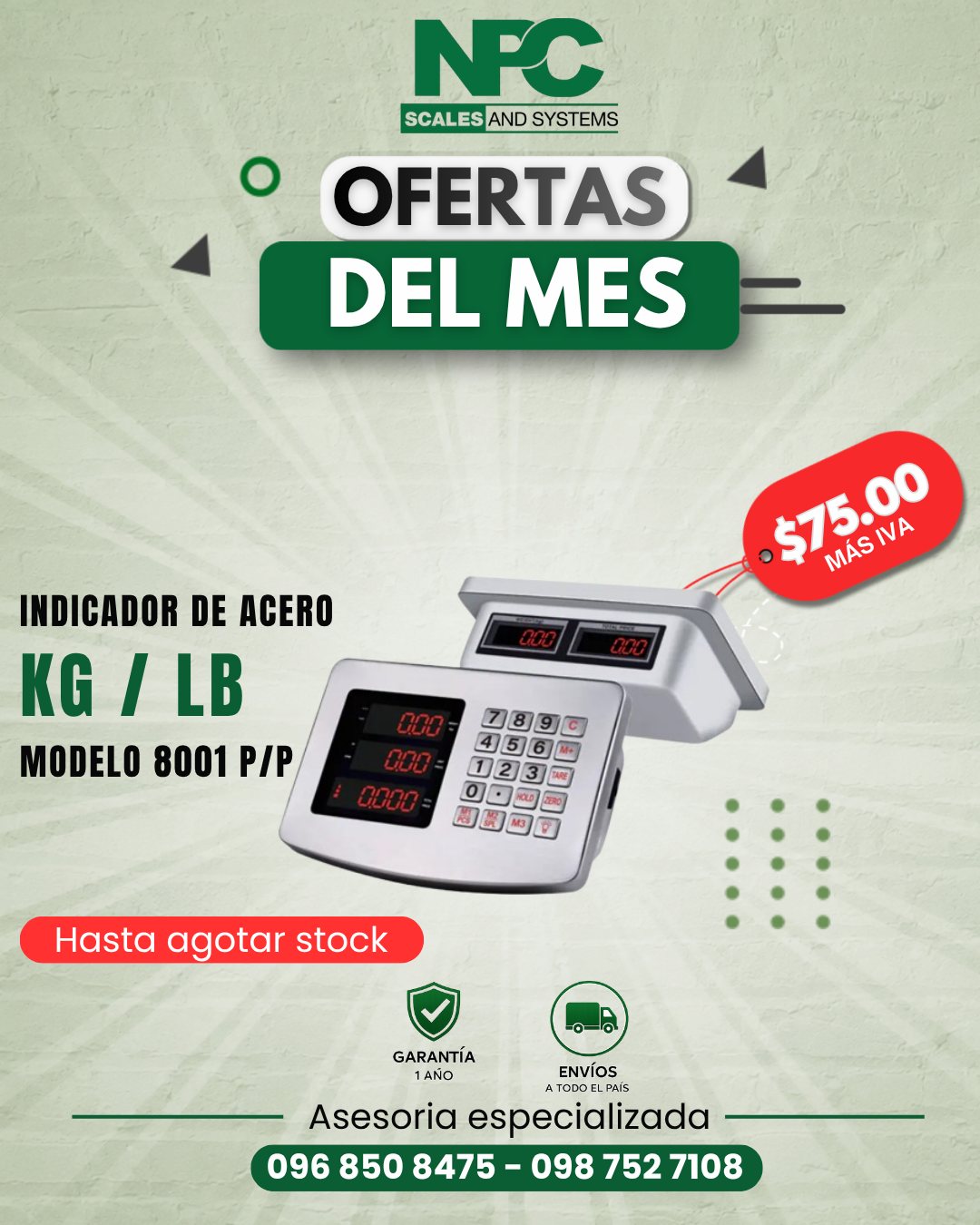 Indicador de acero 8001 P/P (kg/lb)
