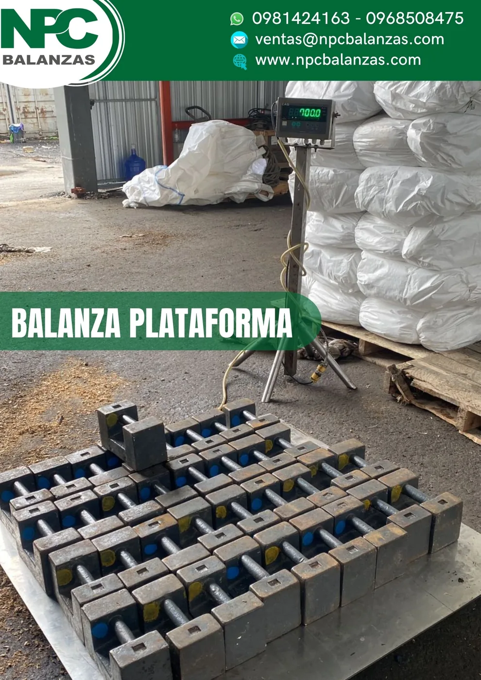 Balanza plataforma