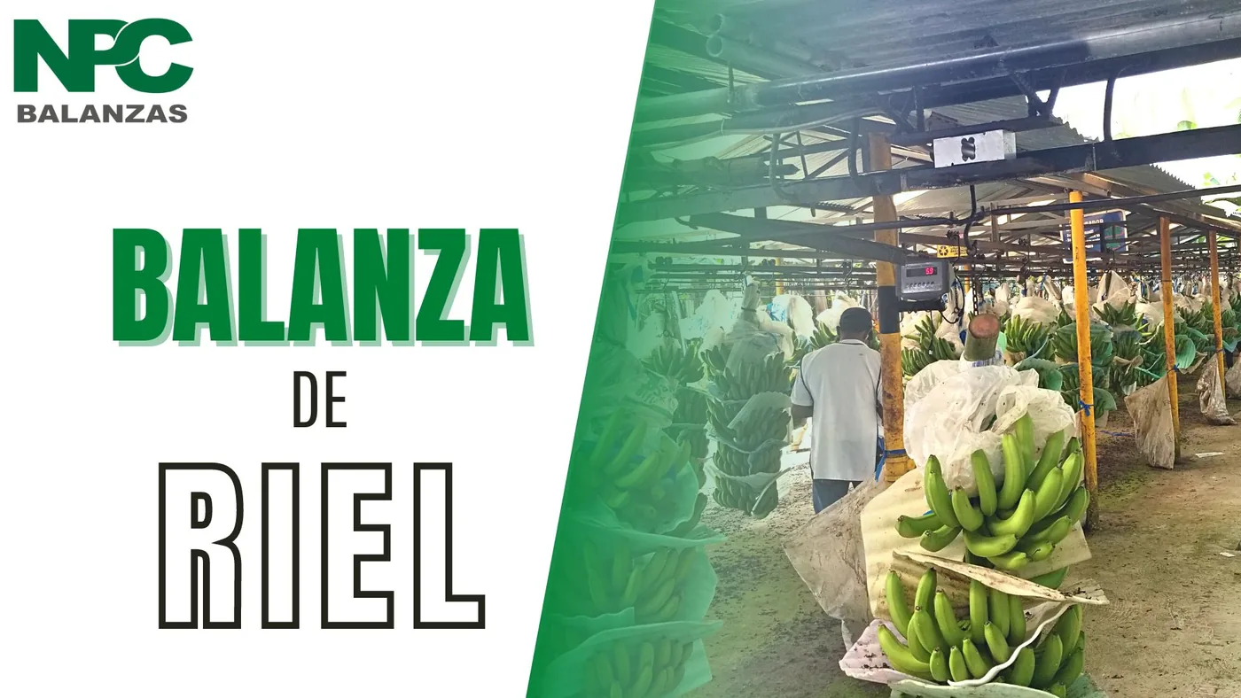 Balanza de riel para banano