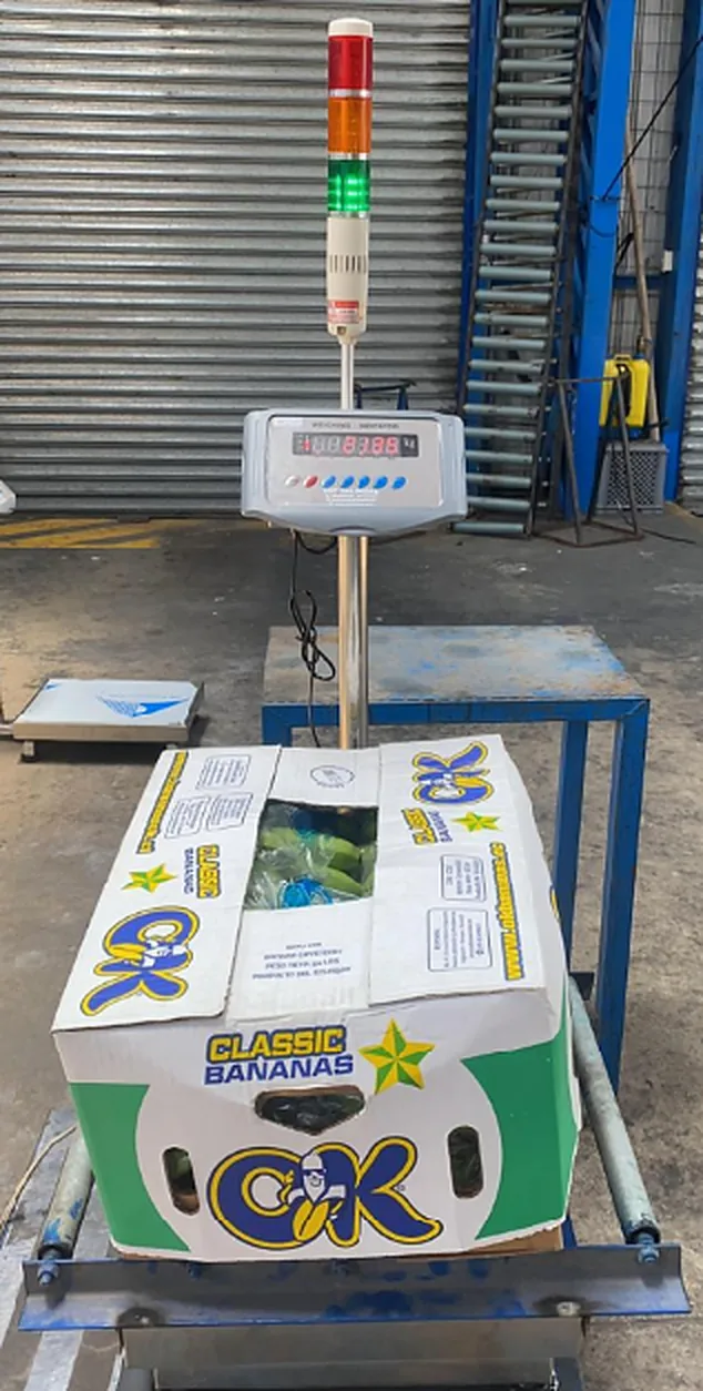 Balanza de piso con sistema de semáforo