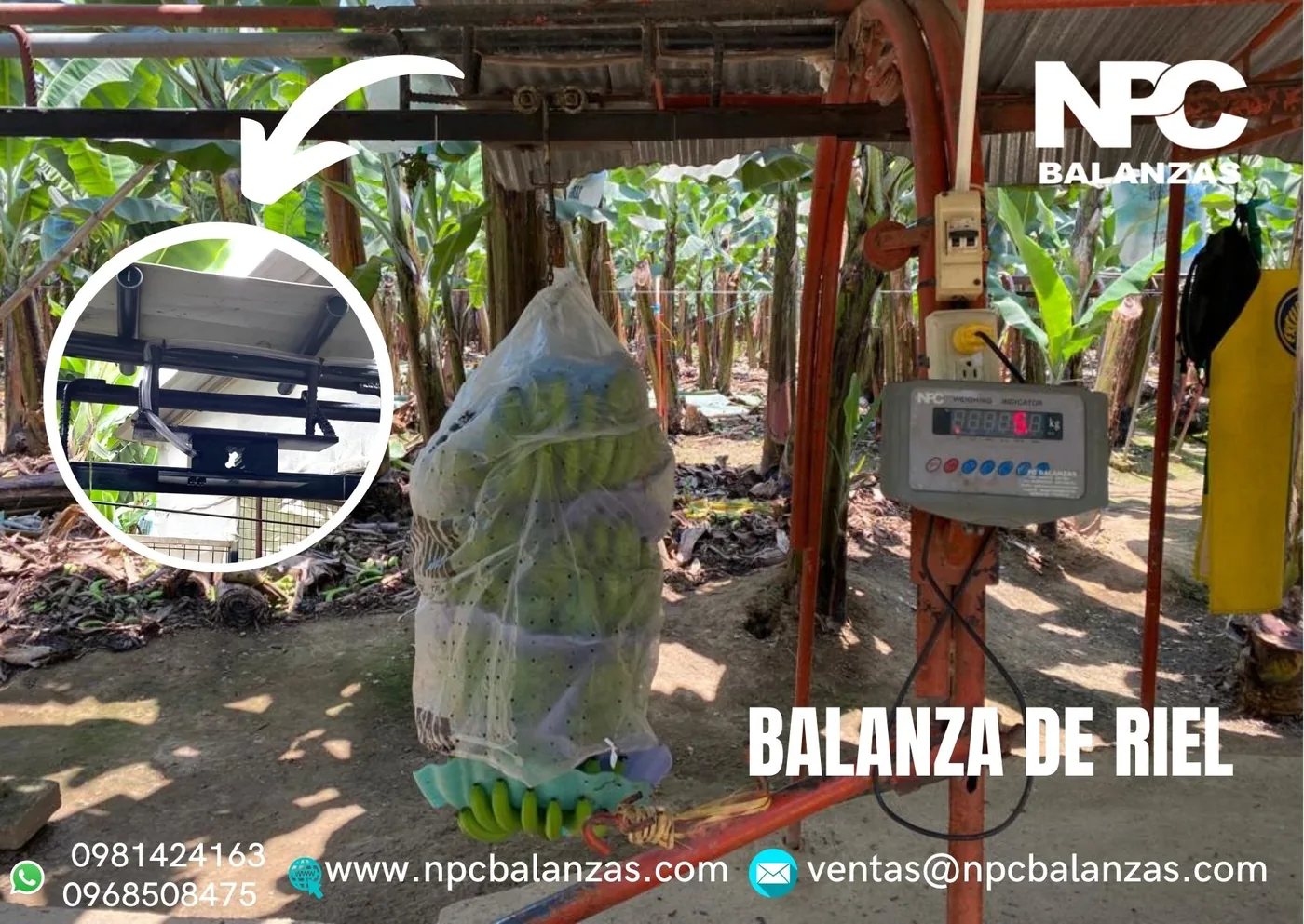 Balanza de riel en campo