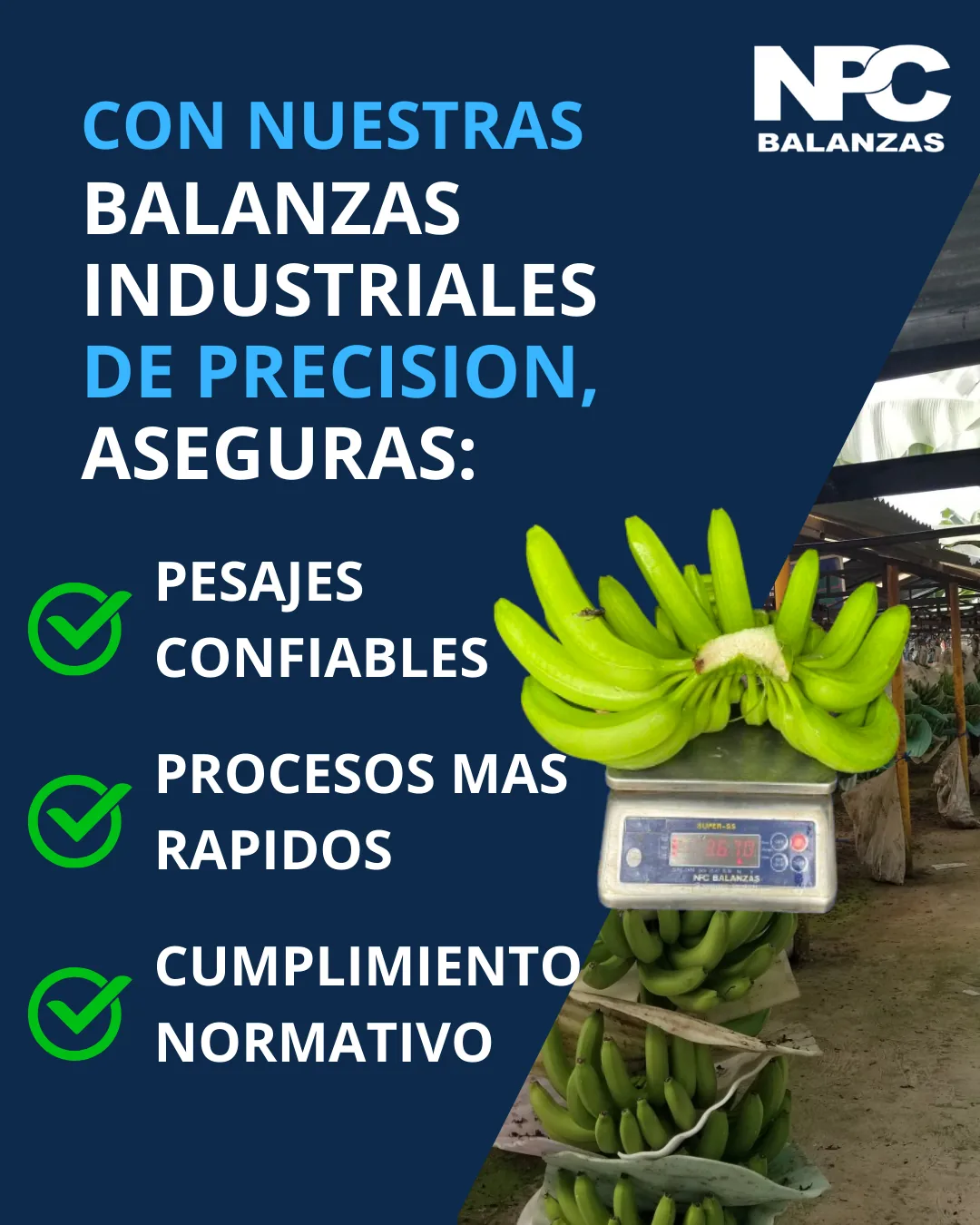 NPC Balanzas - banano