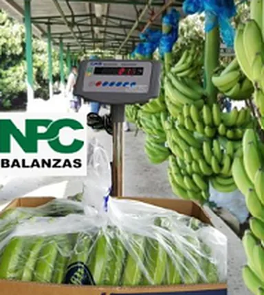 Balanza de piso de acero · 150 kg