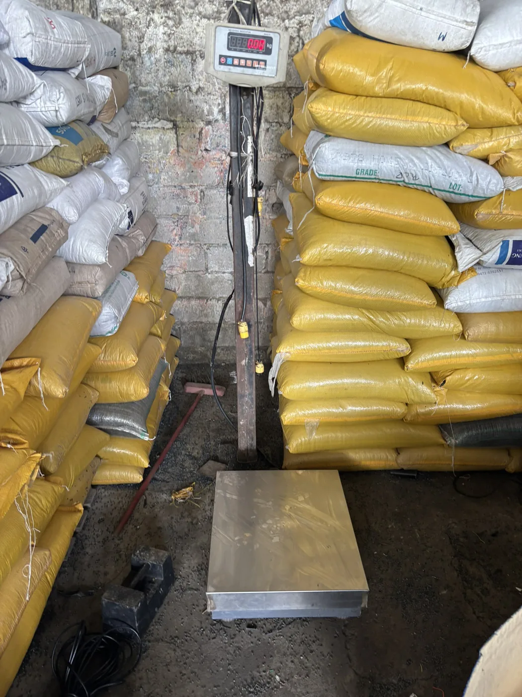 Balanza de piso de hierro · 200 kg
