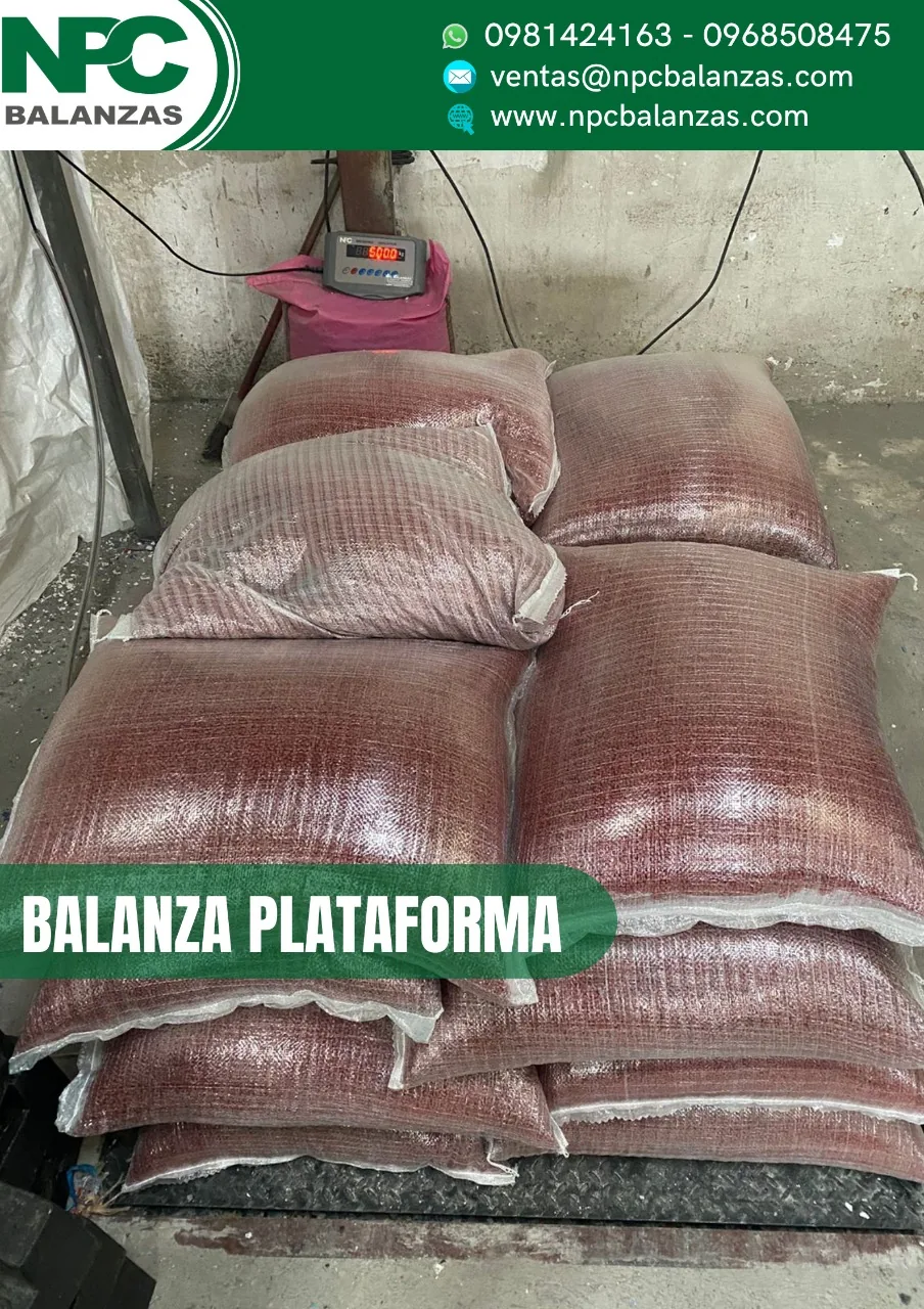 Plataforma de hierro · 2 t