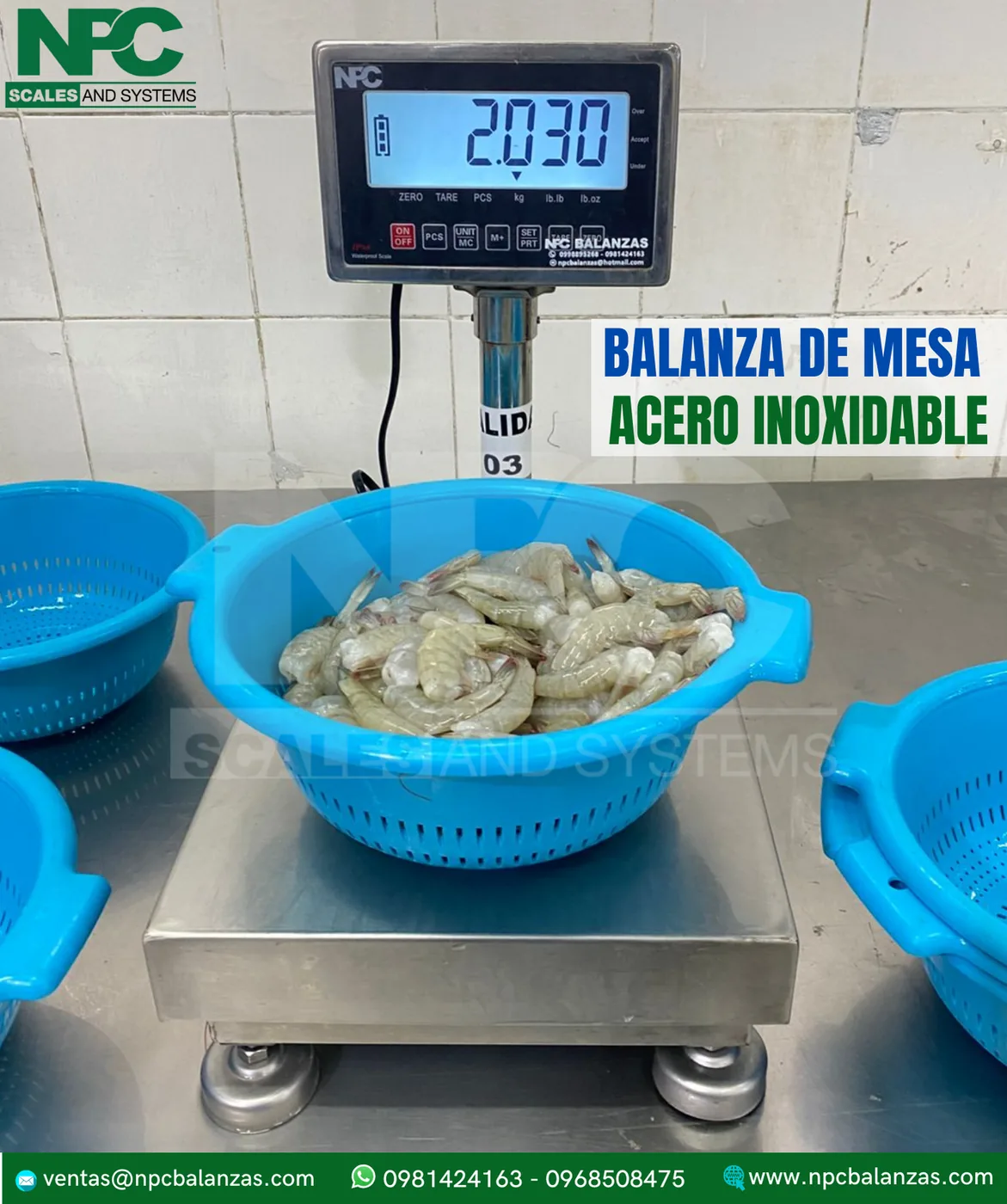 Balanza de mesa de acero inoxidable · 30 kg