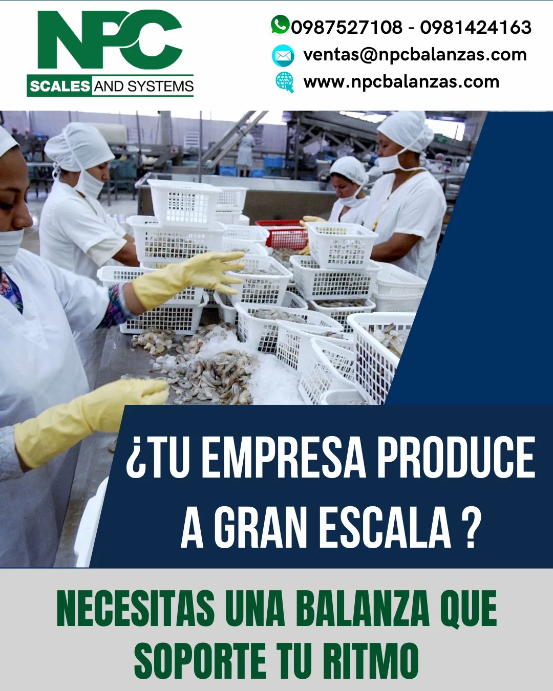 NPC Balanzas - camaronera