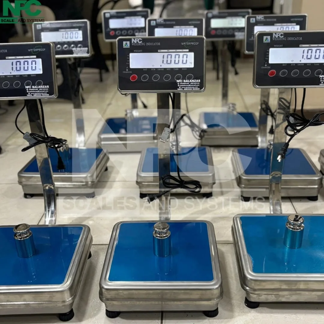 Balanza de mesa de acero WP · 30 kg