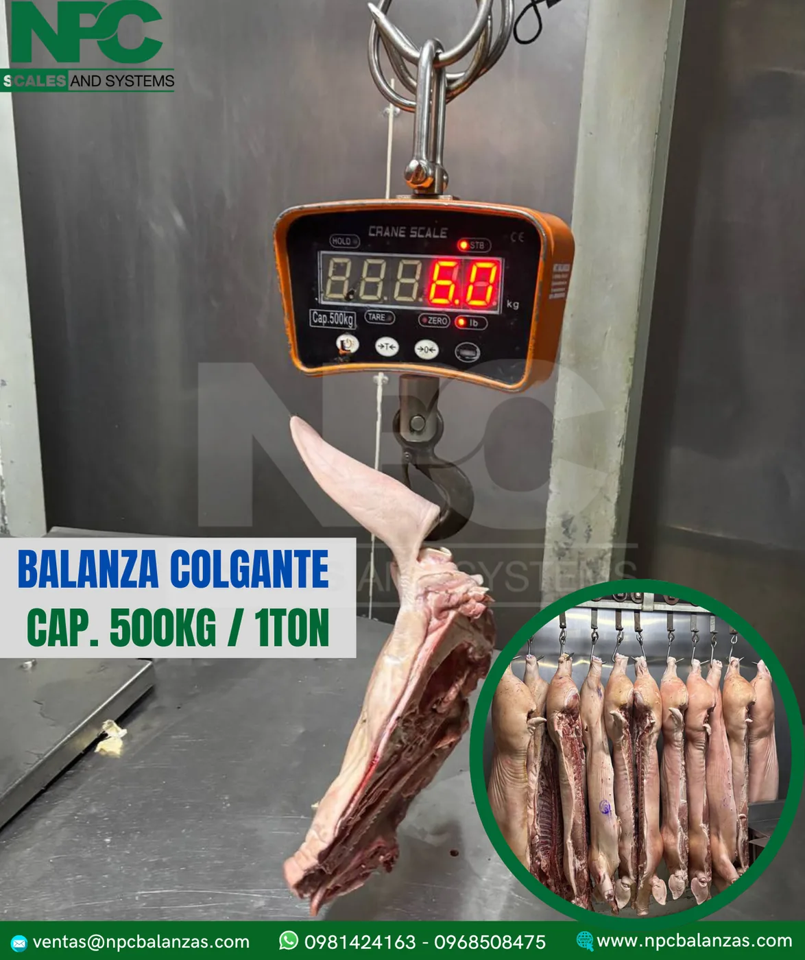 Balanza colgante · 500 kg a 1 t
