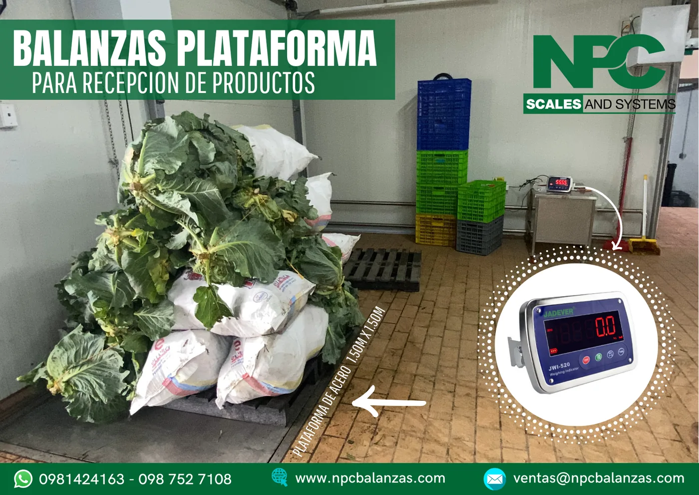 Plataforma de hierro con indicador Jadever · 2 t