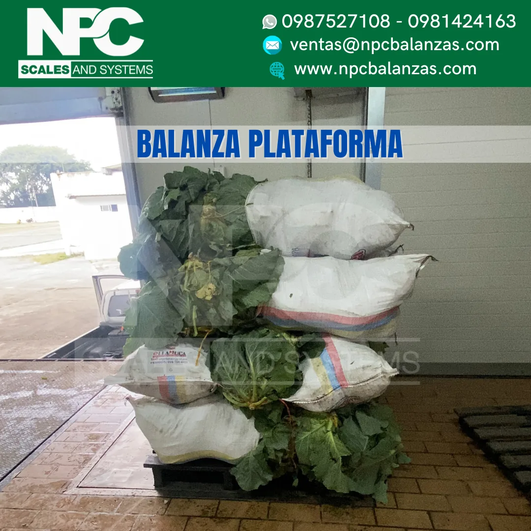 Plataforma de hierro 1,20x1,20 m · 2 t